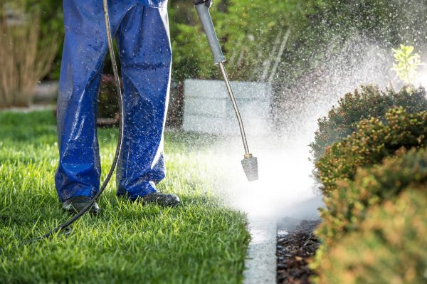 Cost of Curb Cleaning in Owensboro