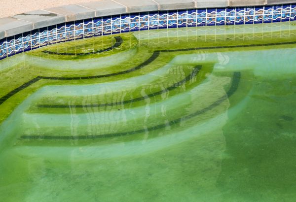 Pool Deck Algae Removal in Owensboro